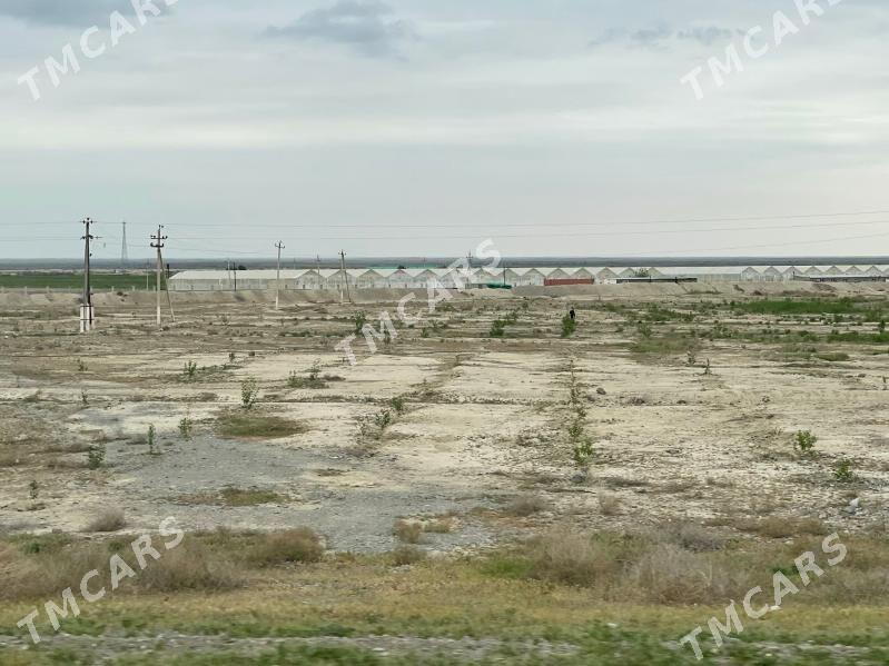 Tayyar Biznes - Бахарден - img 5