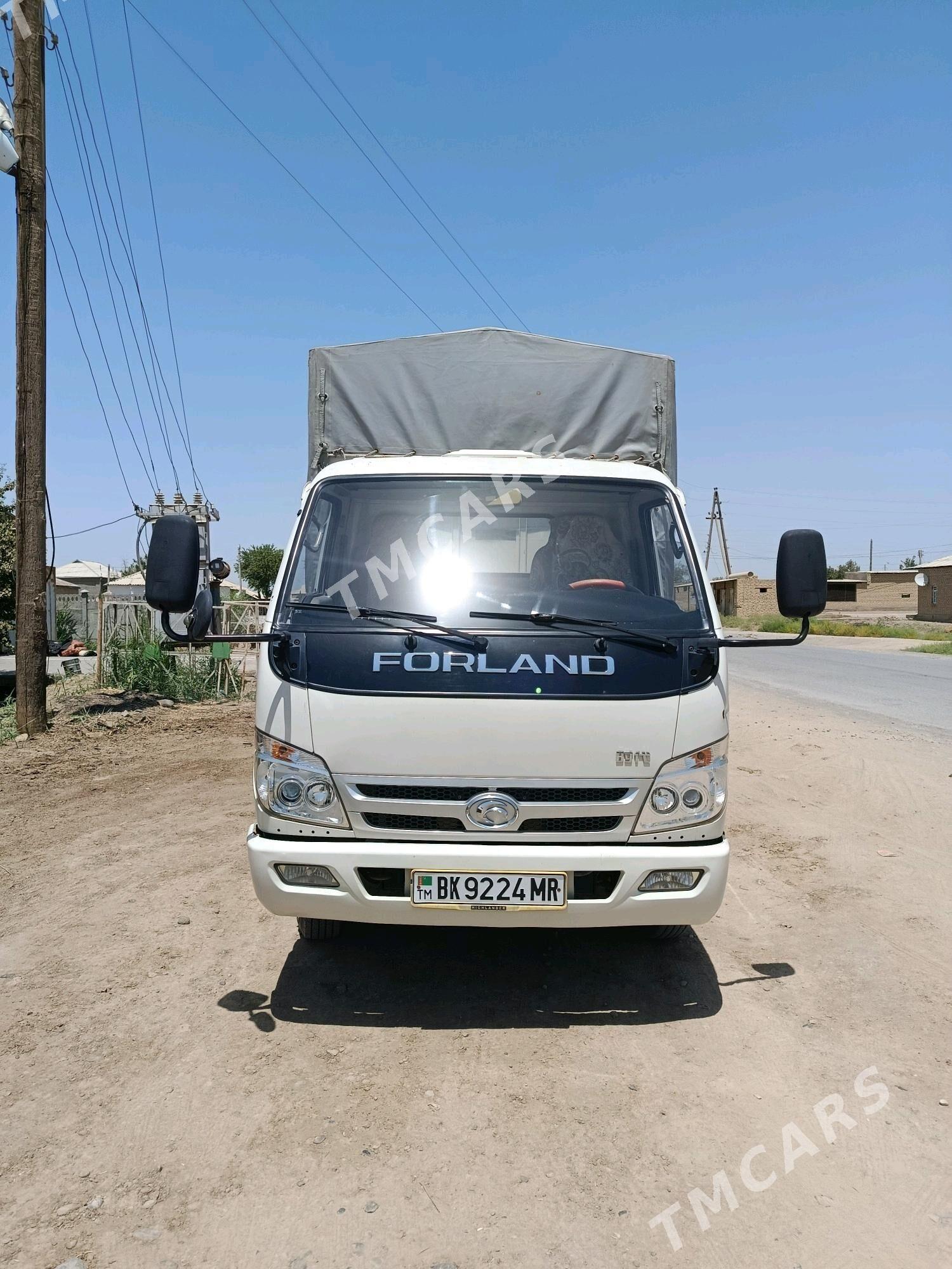 Forland H3 2015 - 170 000 TMT - Mary - img 2