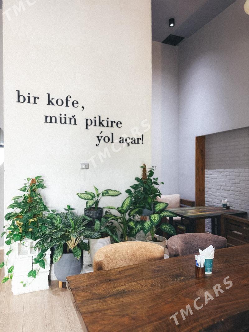 Кофе-Cofe/kafe/кафе - Aşgabat - img 6