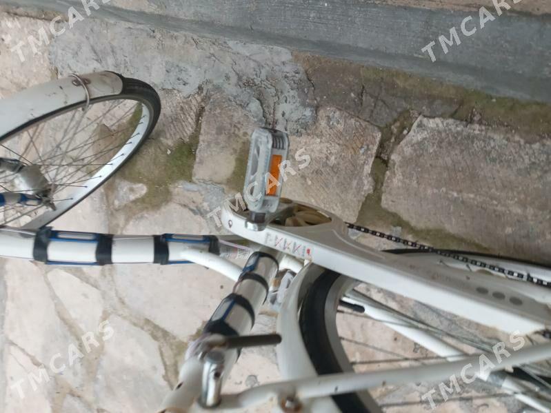 Ýaponskiý welik 27lik - Türkmenbaşy - img 2