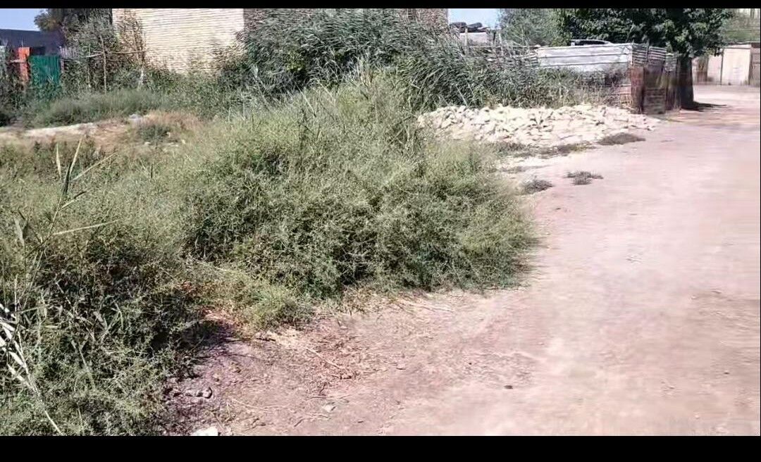Türkmenabat satılık daça - Türkmenabat - img 3