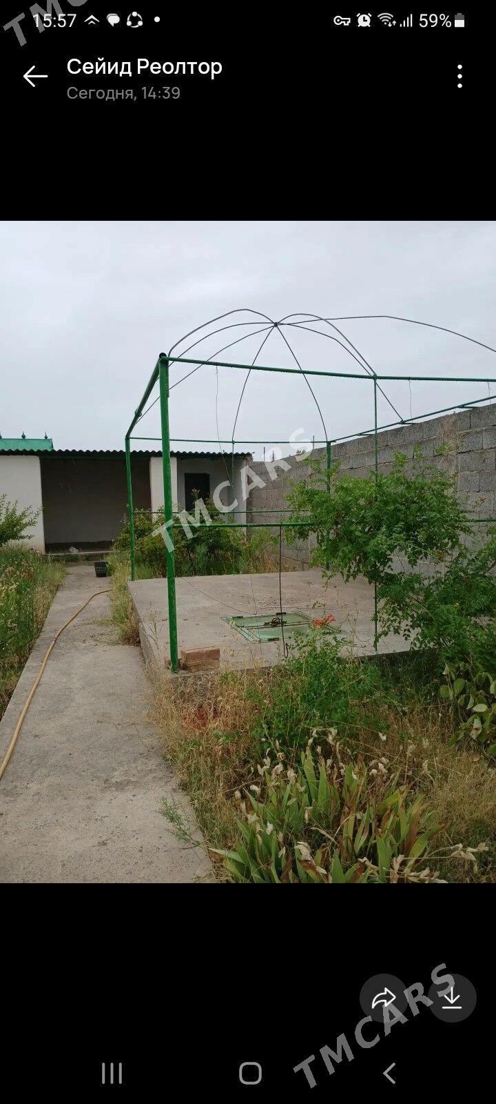 ANEW SATLYK - Ашхабад - img 2