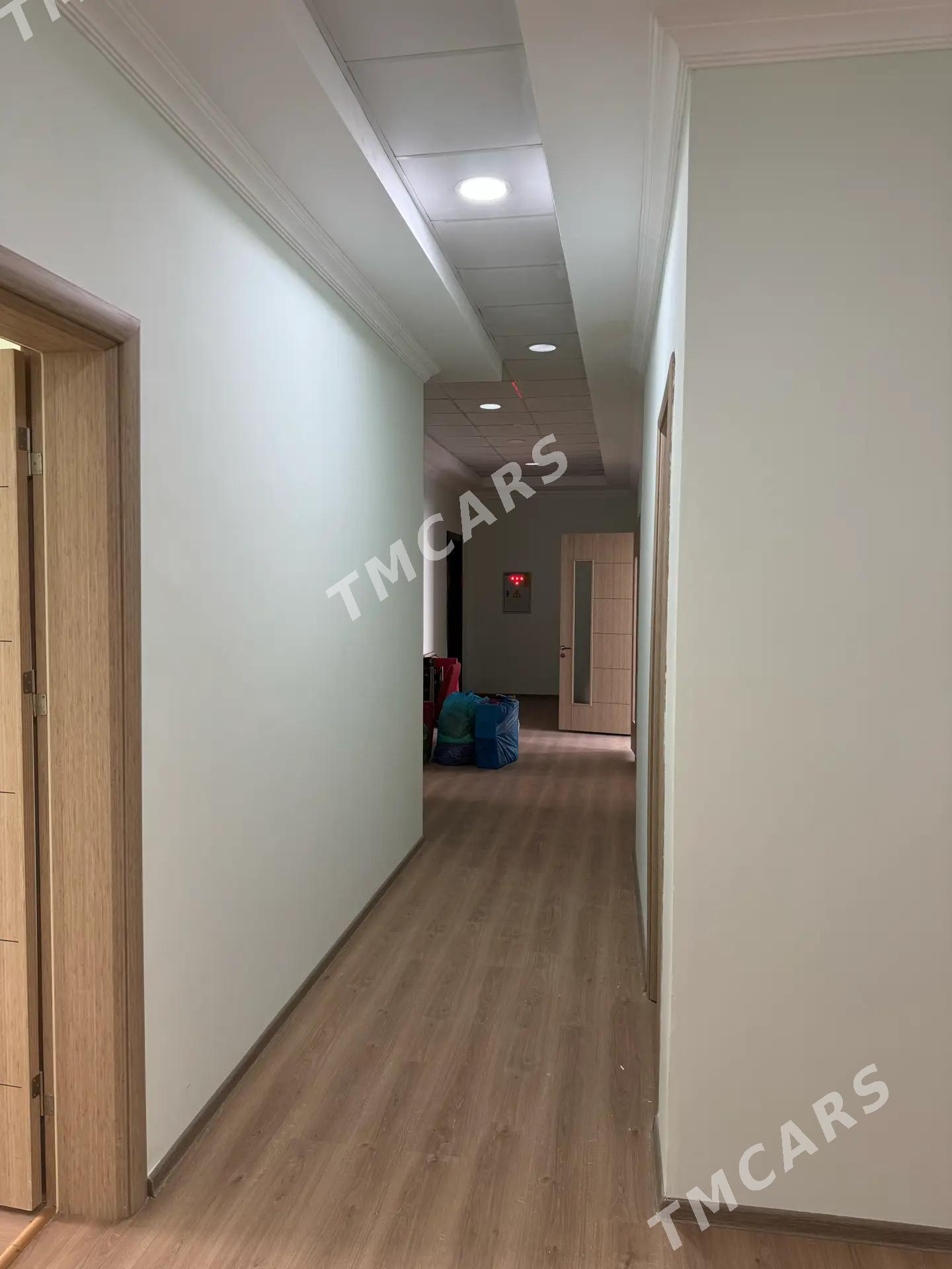 ПРОДАЖА ЭЛИТКИ - Ашхабад - img 9
