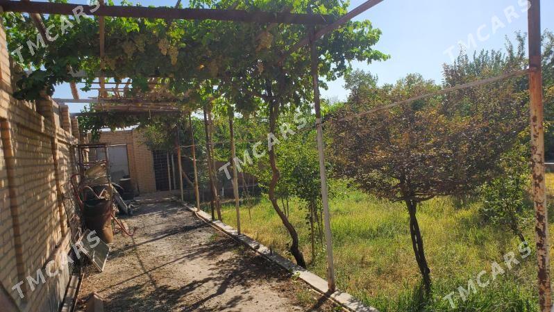 СатлыкПлановый жай - Туркменабат - img 7