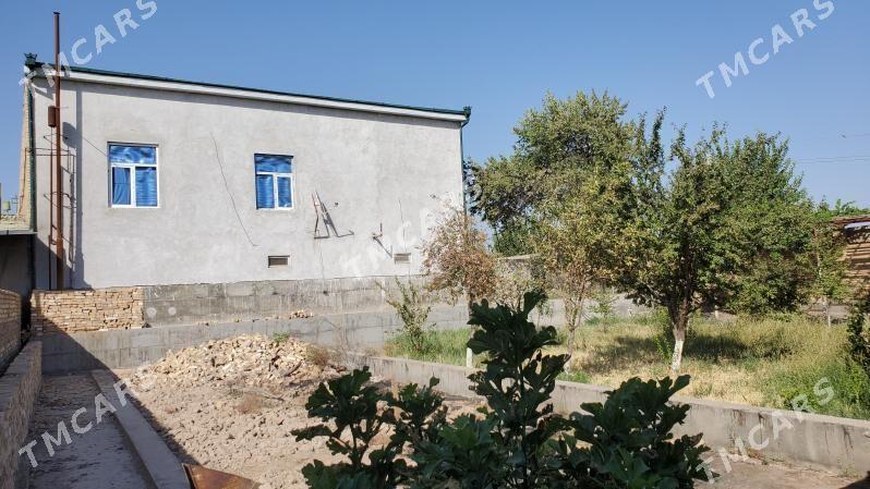 СатлыкПлановый жай - Туркменабат - img 4