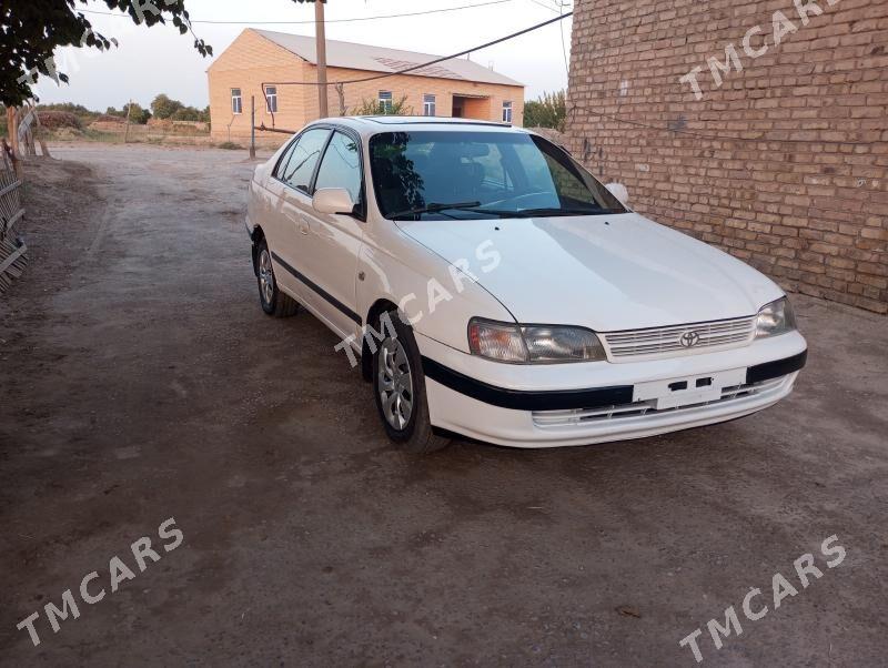 Toyota Carina 1995 - 65 000 TMT - Garabekewül - img 3