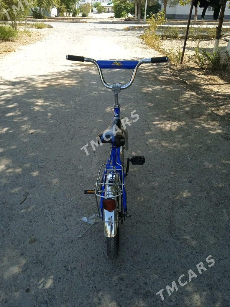 tigir - Büzmeýin GRES - img 2