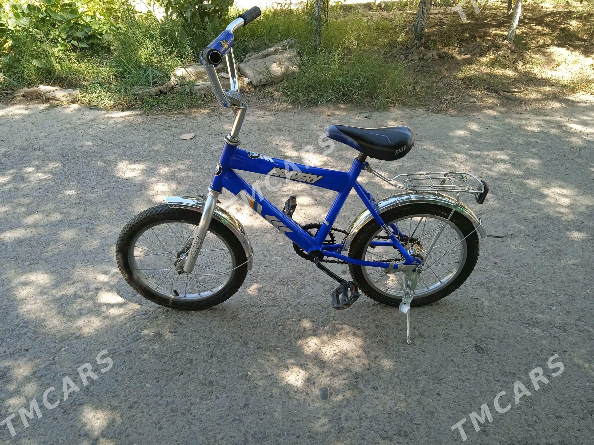 tigir - Büzmeýin GRES - img 3