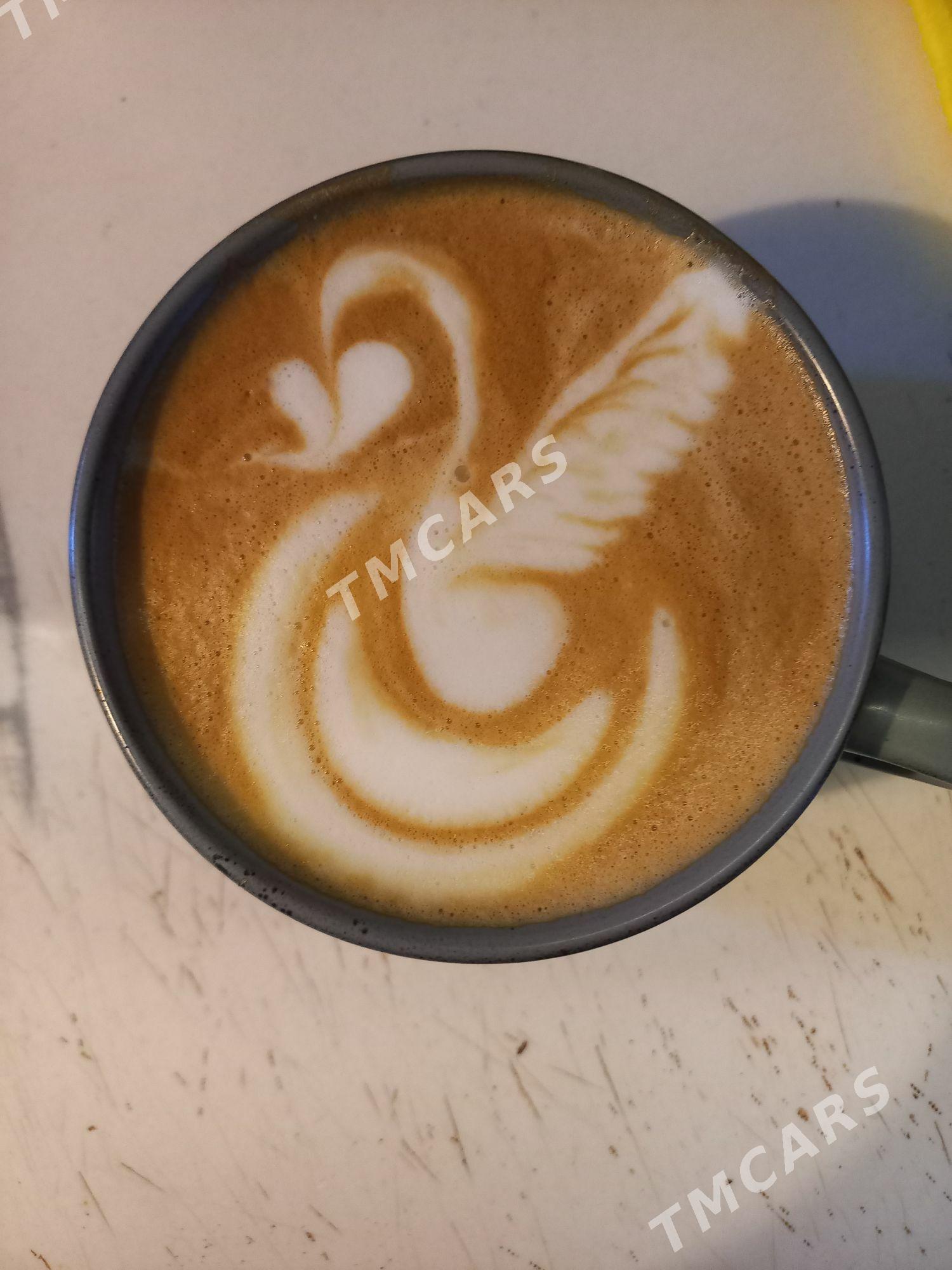 barista owredyan учу - Ашхабад - img 1