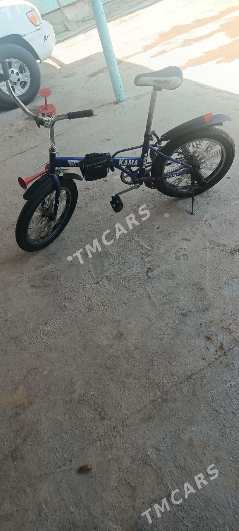 kama tigir - Gyzylarbat - img 2
