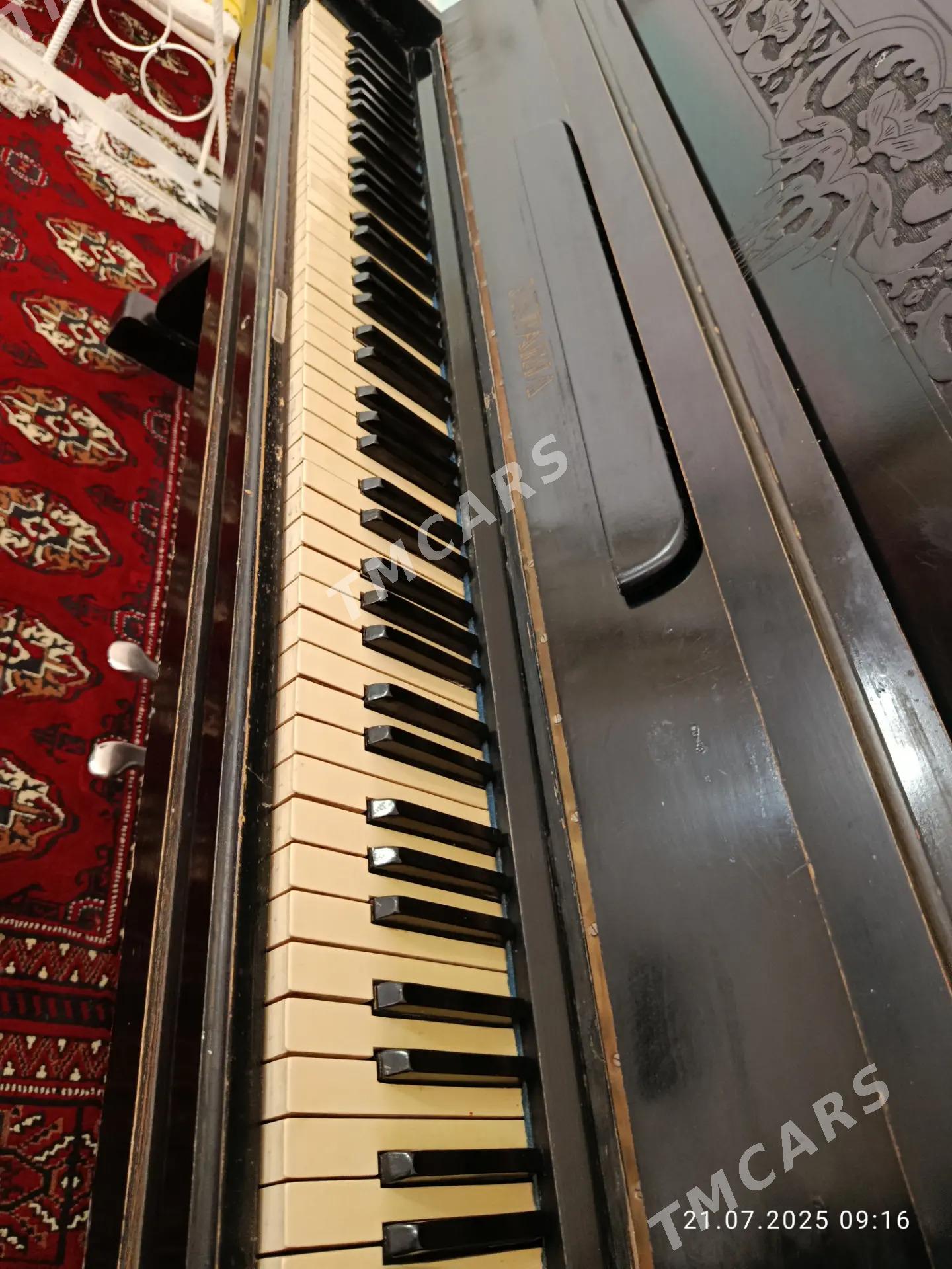fortepiano - Sakar - img 2