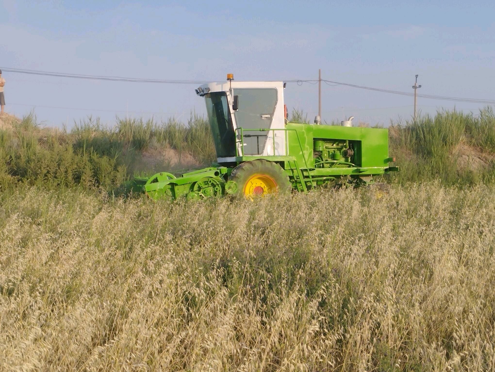 MTZ 82 1996 - 230 000 TMT - Гарабекевюл - img 2