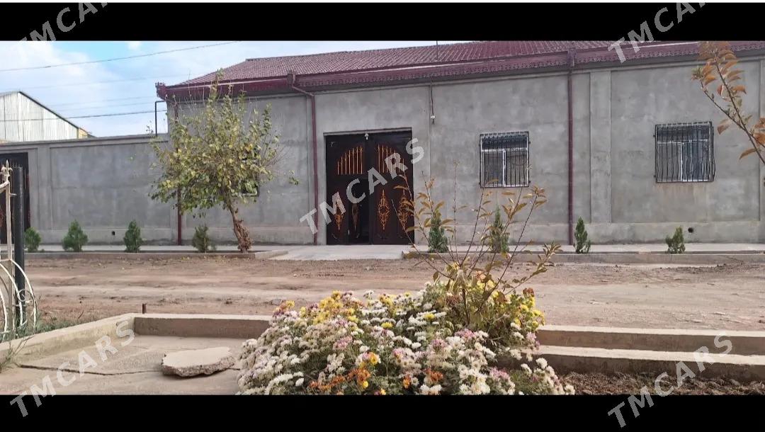 Yaşaýyş jayy - Türkmenabat - img 2