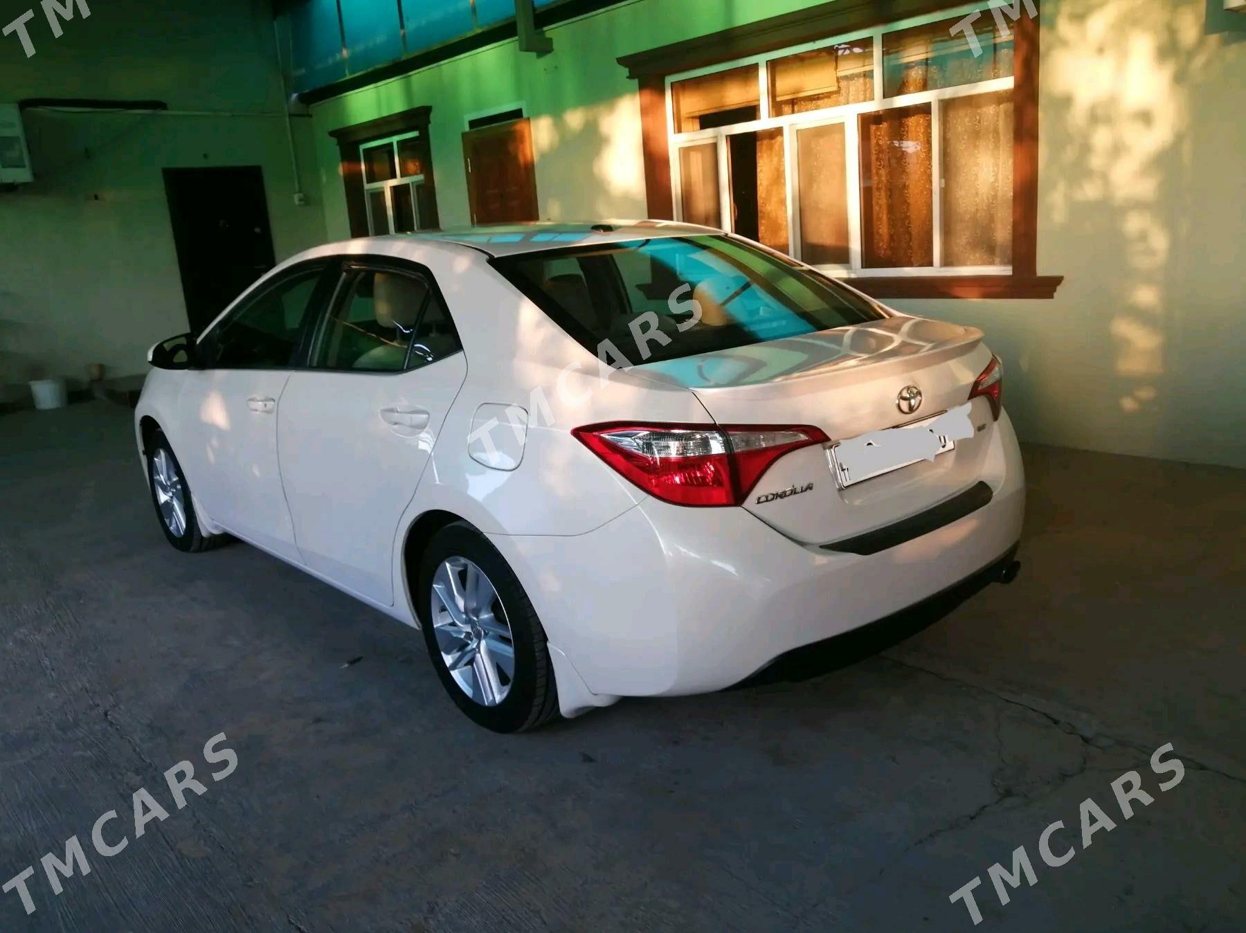 Toyota Corolla 2014 - 220 000 TMT - 16-й этап - img 5