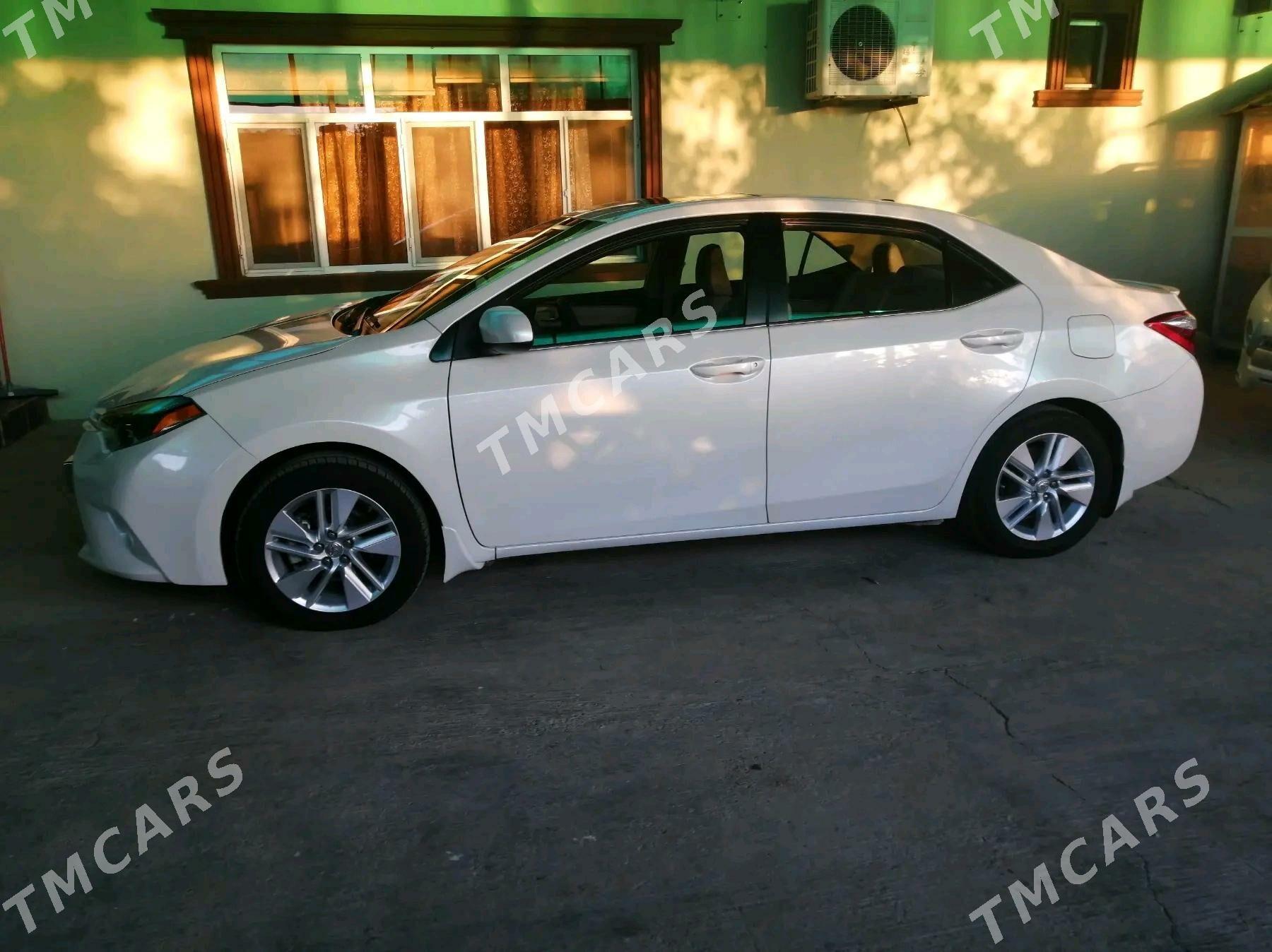 Toyota Corolla 2014 - 220 000 TMT - 16-й этап - img 4