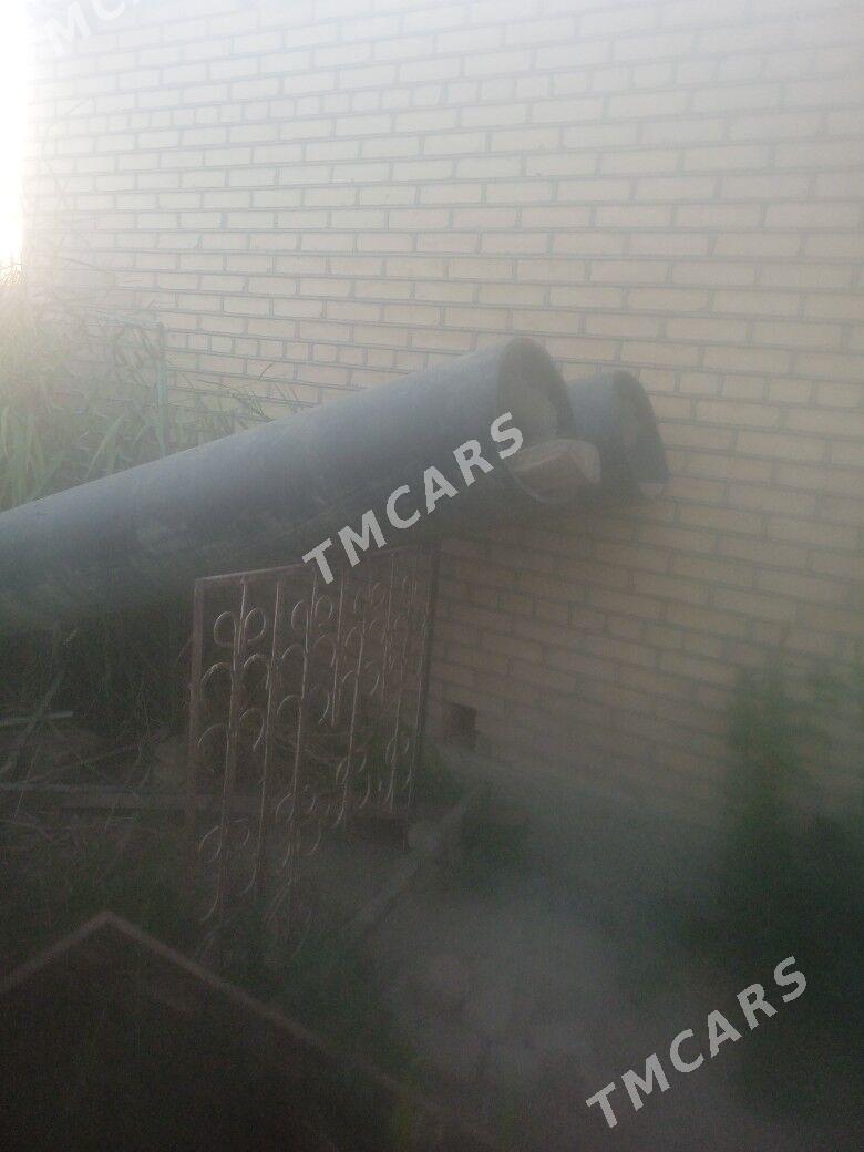 plasmas turba - Sakarçäge - img 2