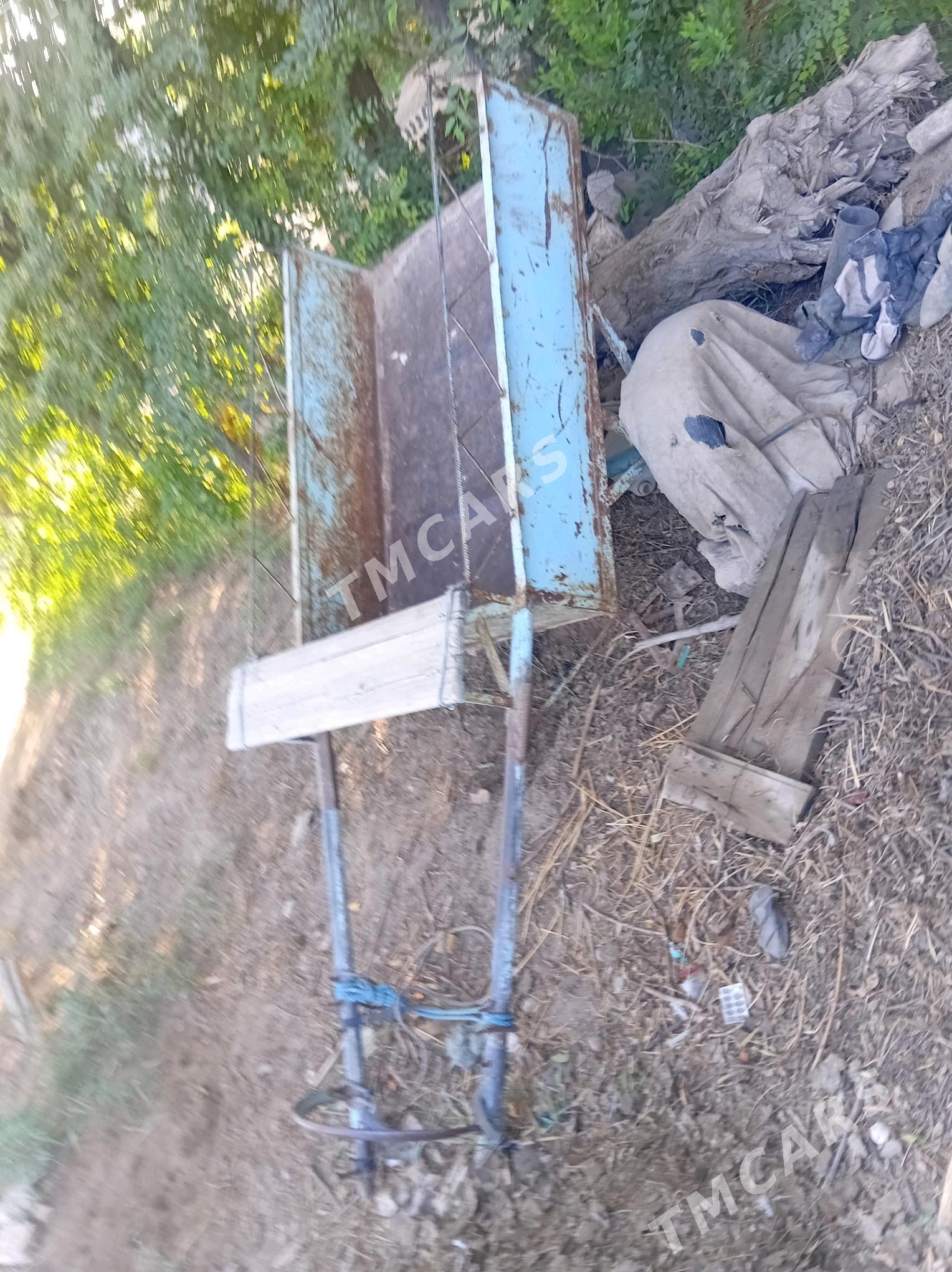Eşek araba - Gubadag - img 1
