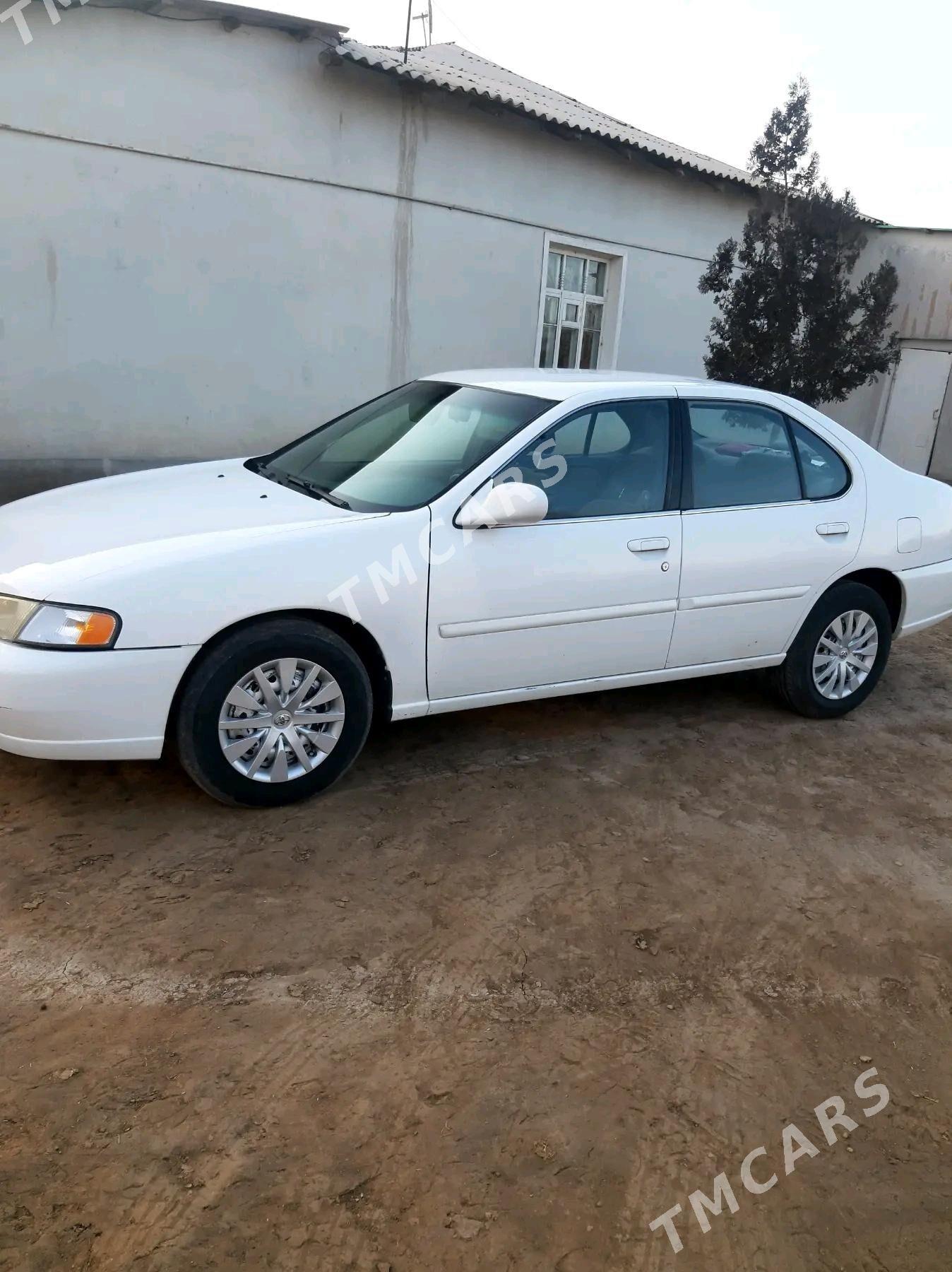 Nissan Altima 1999 - 80 000 TMT - Boldumsaz - img 3