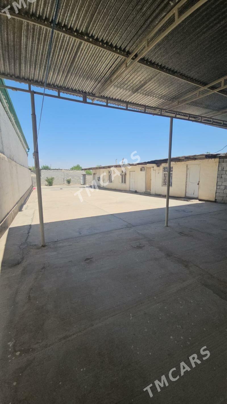 Shor garadamak 6 sotok plan - Ашхабад - img 4