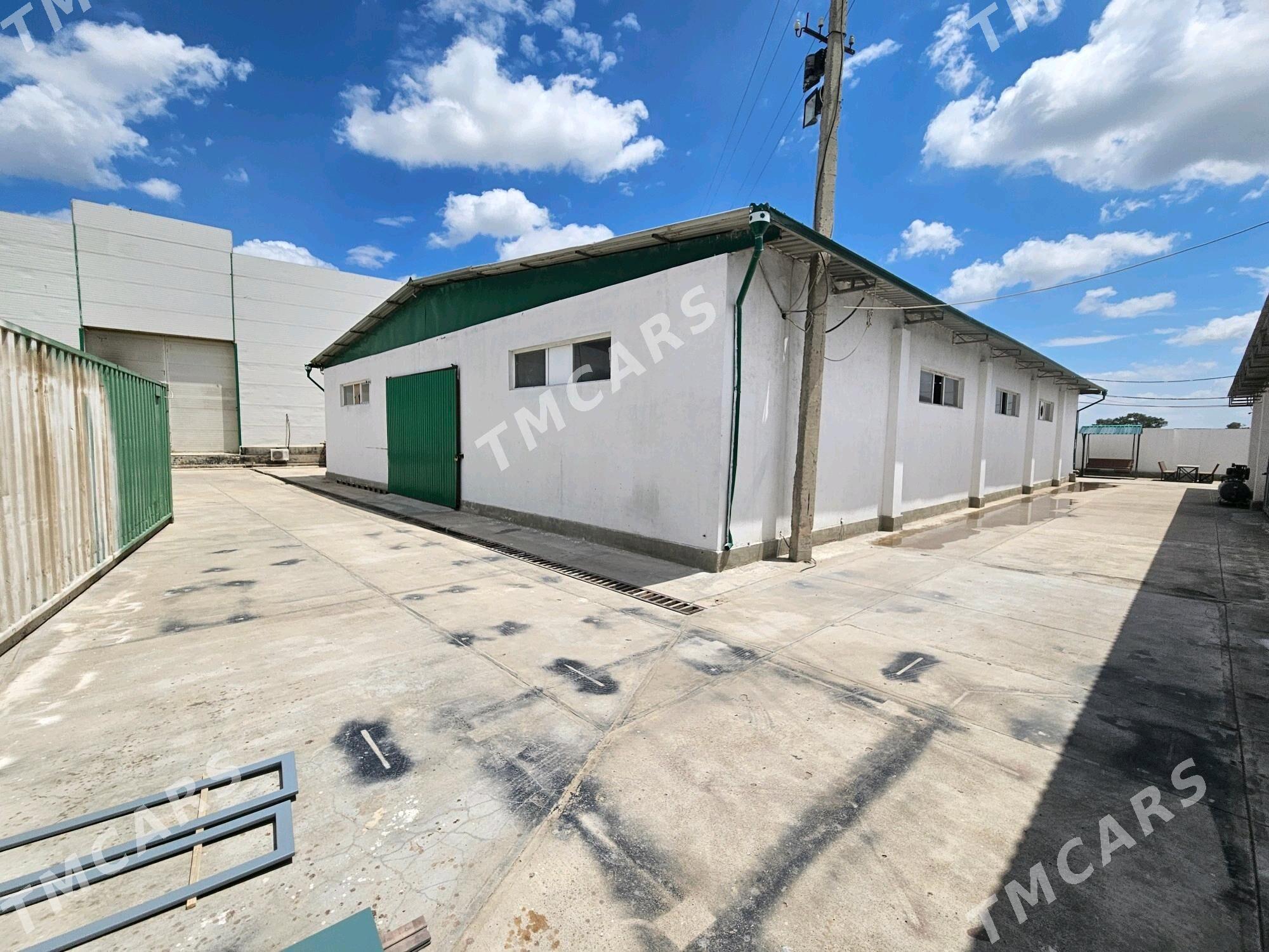 Zawot fabrik seh önümçilik - Бузмеин - img 3