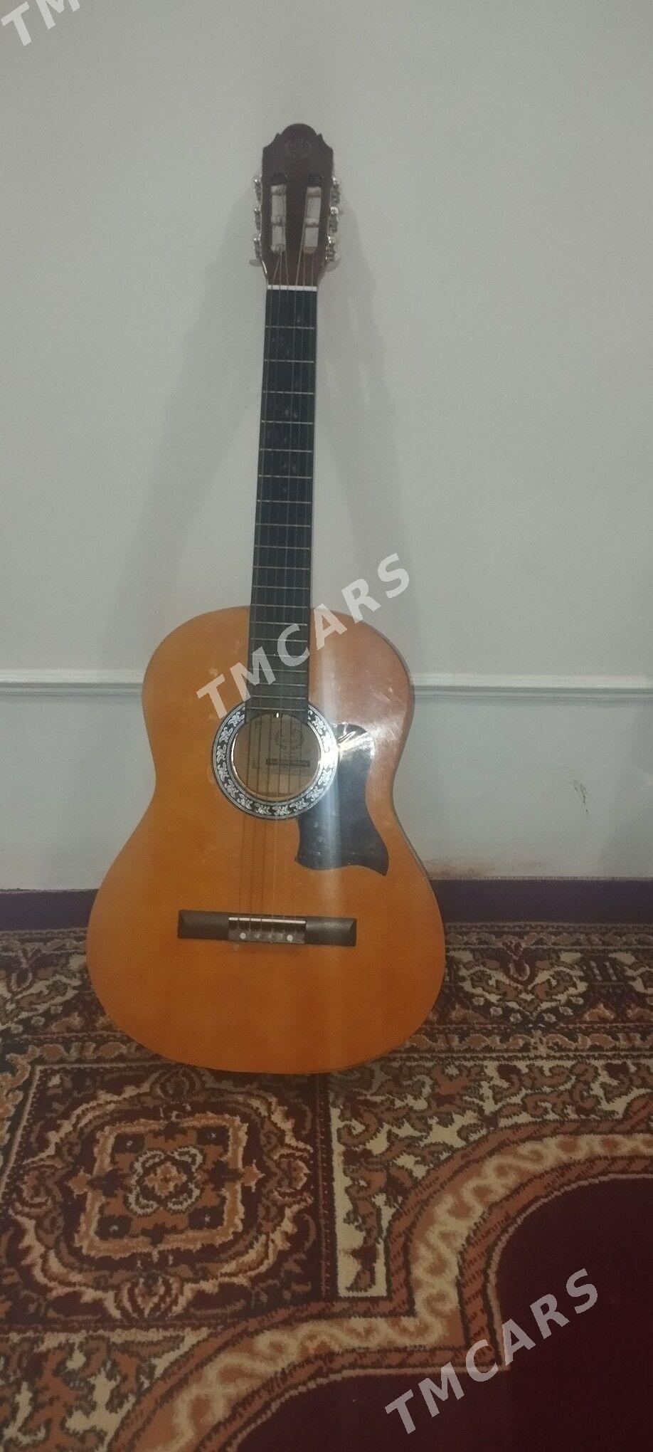 Gitara - Gurbansoltan Eje - img 2