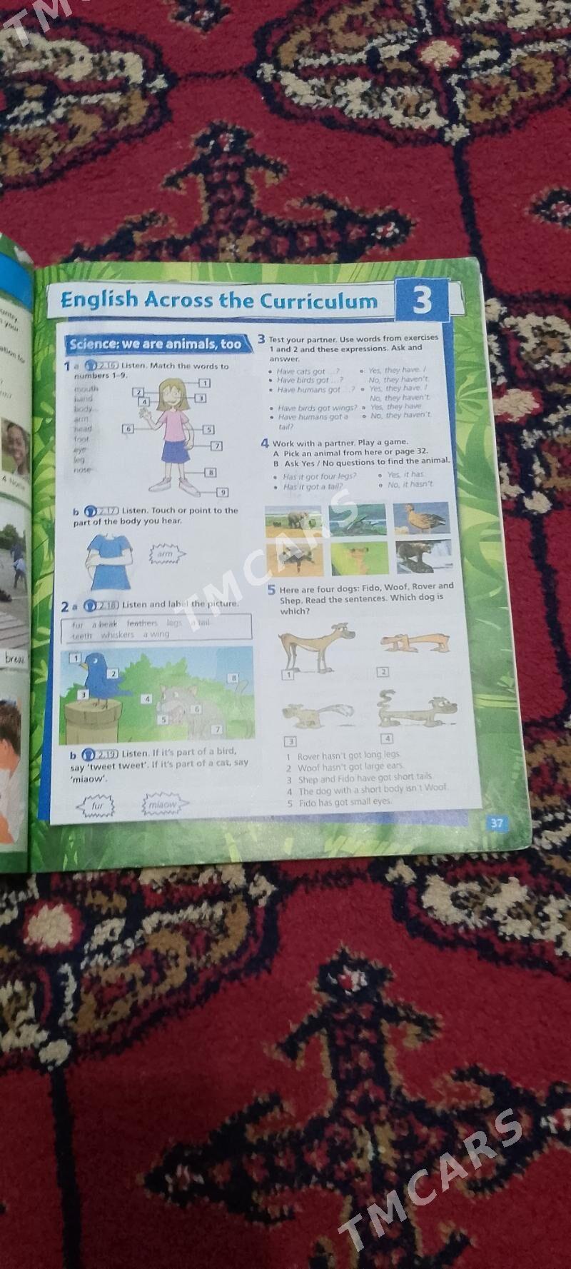 projekt 1 - Türkmenabat - img 3