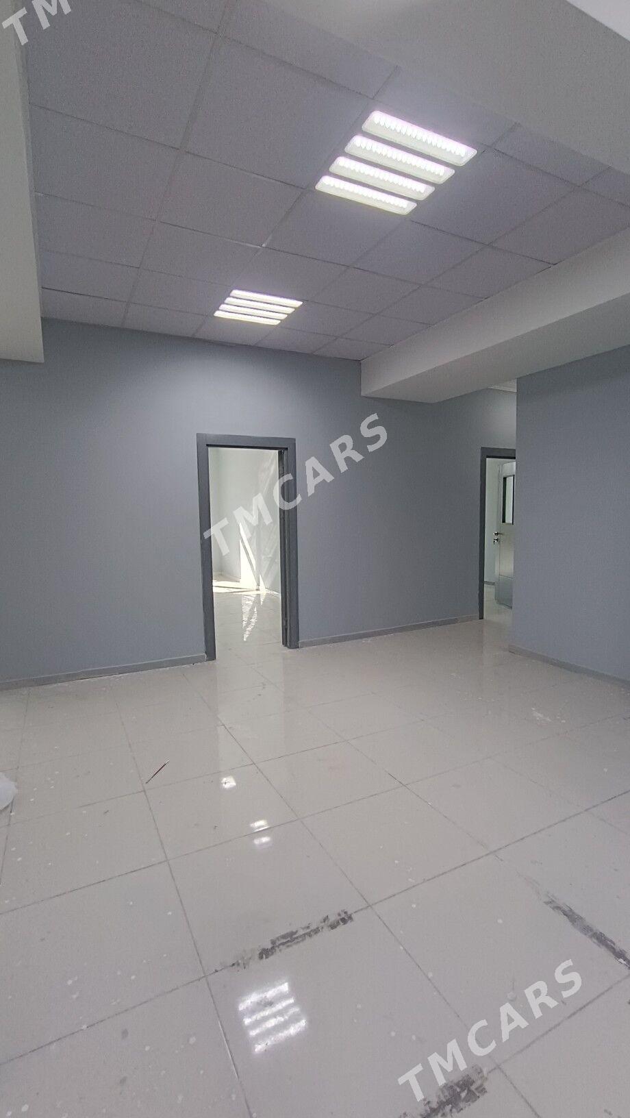 Ofis 250 kw m 1 etaž - Gurtly - img 2
