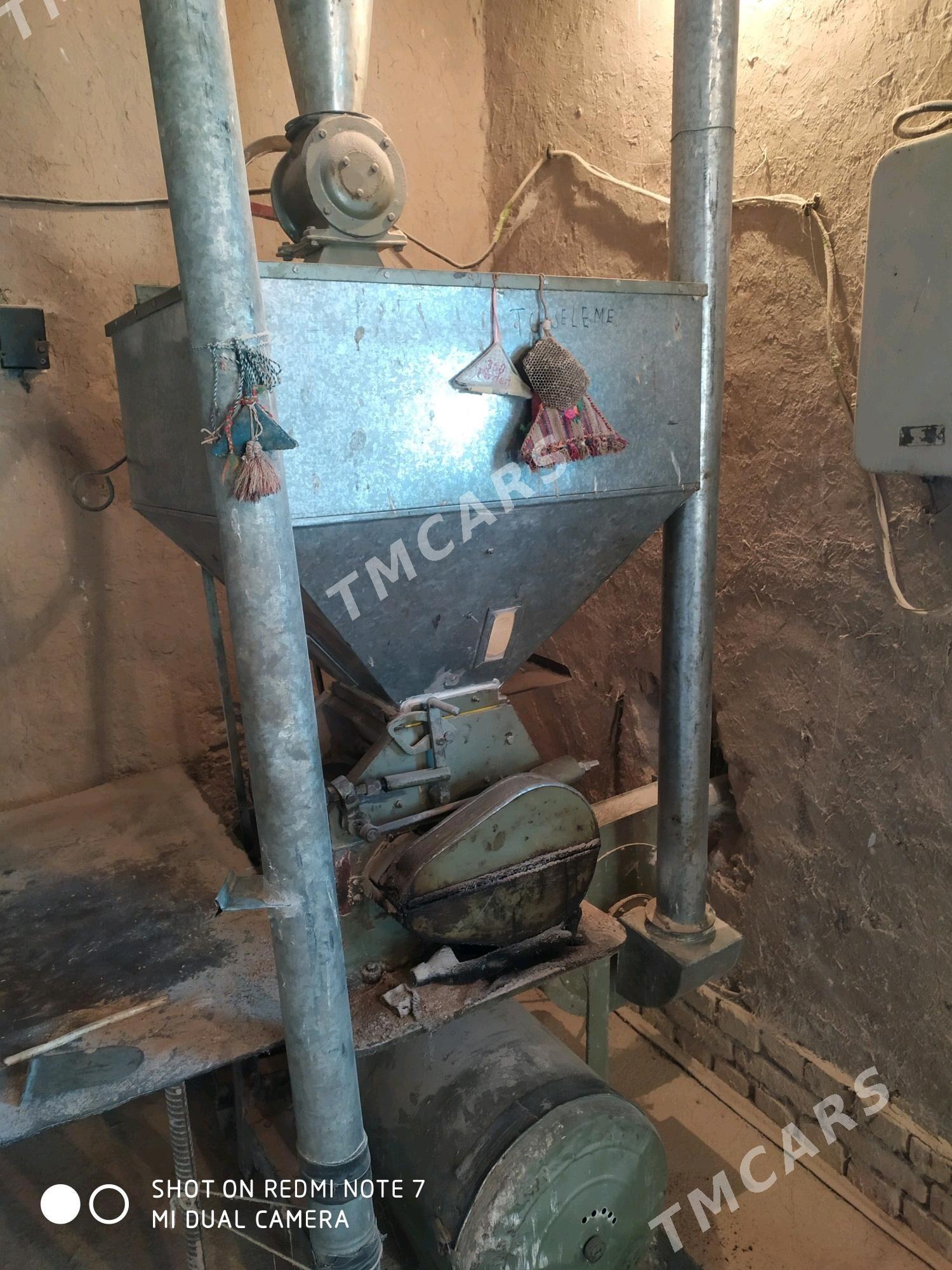 un haraz 30 - Akdepe - img 1