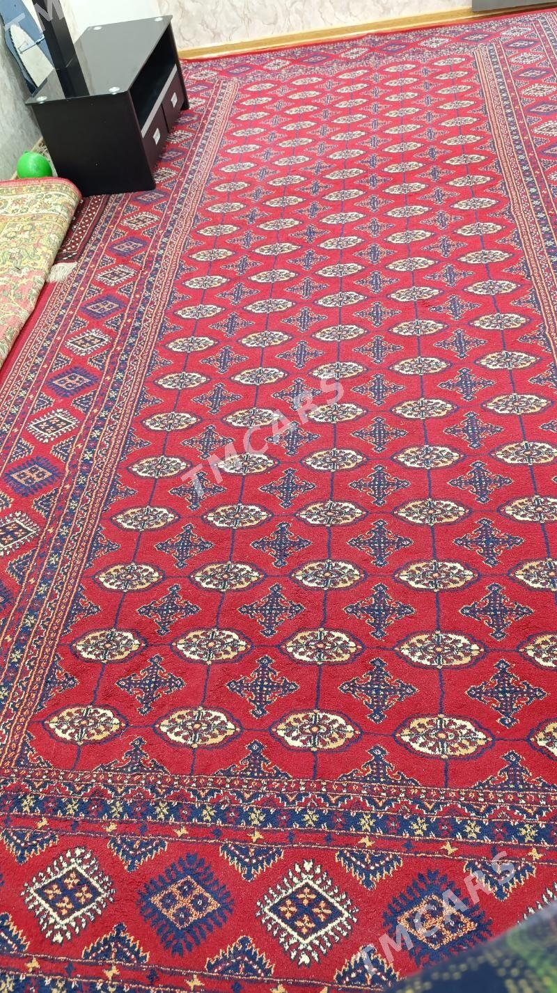 Haly Turk 2.5×5 onsuk bar - Gazojak - img 2