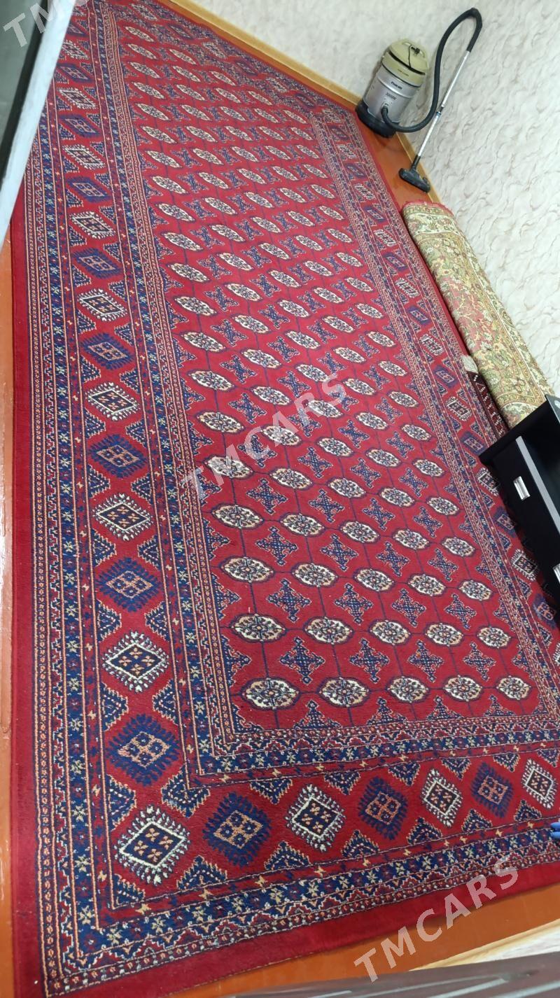 Haly Turk 2.5×5 onsuk bar - Gazojak - img 3