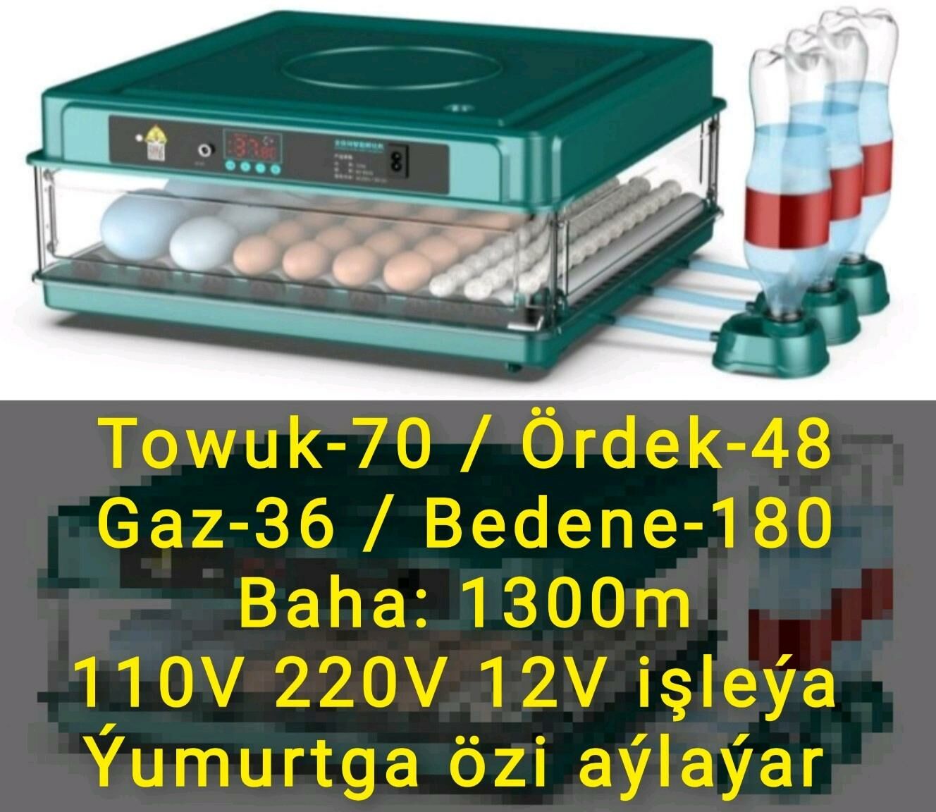 Инкубатор inkubatr towuk induk - Ашхабад - img 10