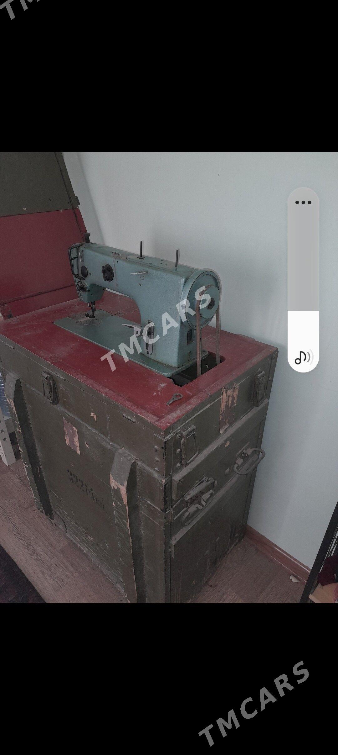 tikin masy - Gyzylarbat - img 2