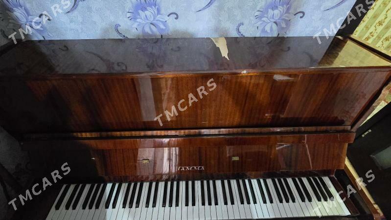 Пианино/pianino - Türkmenabat - img 2