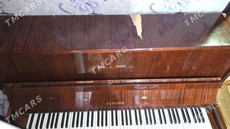 Пианино/pianino - Türkmenabat - img 4