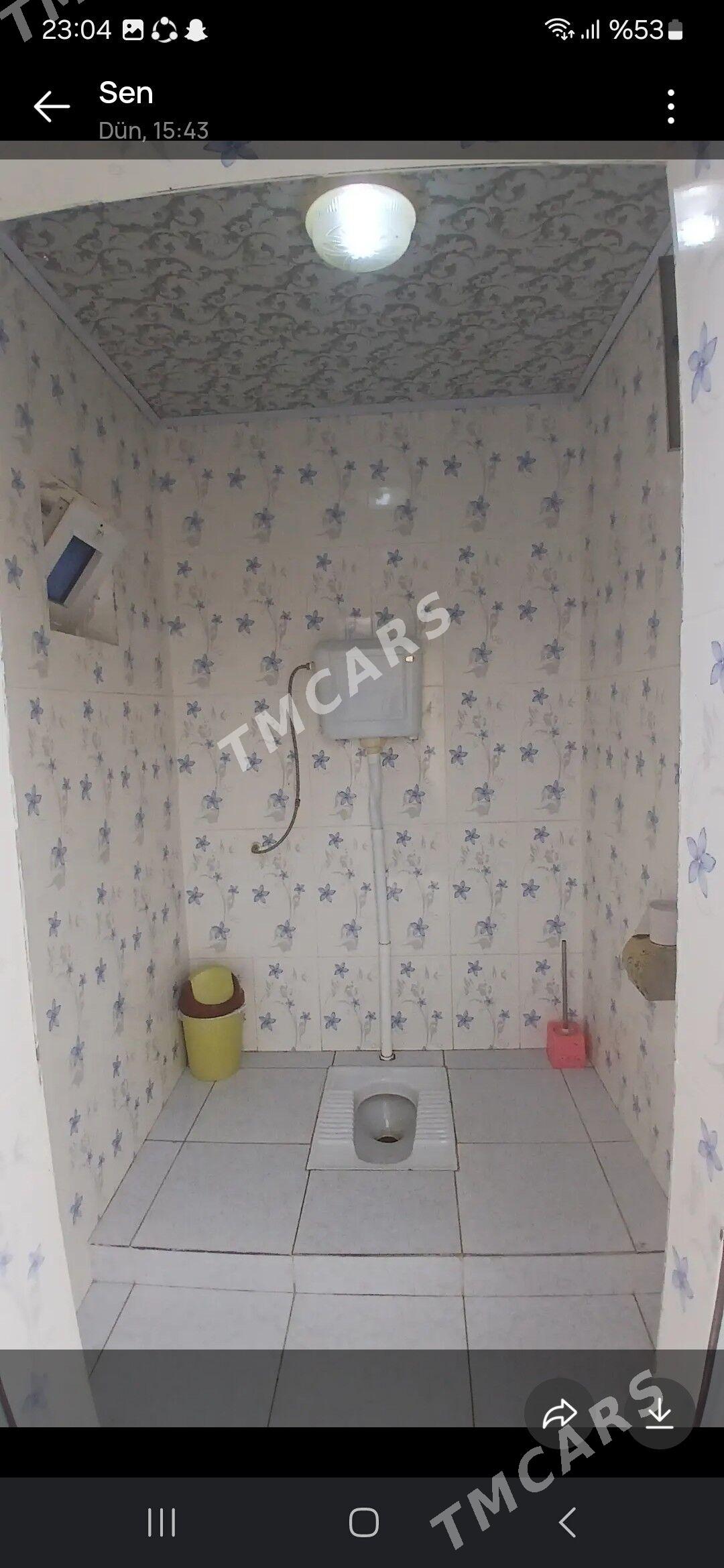 Bagyr pylan jay - Bagyr - img 2