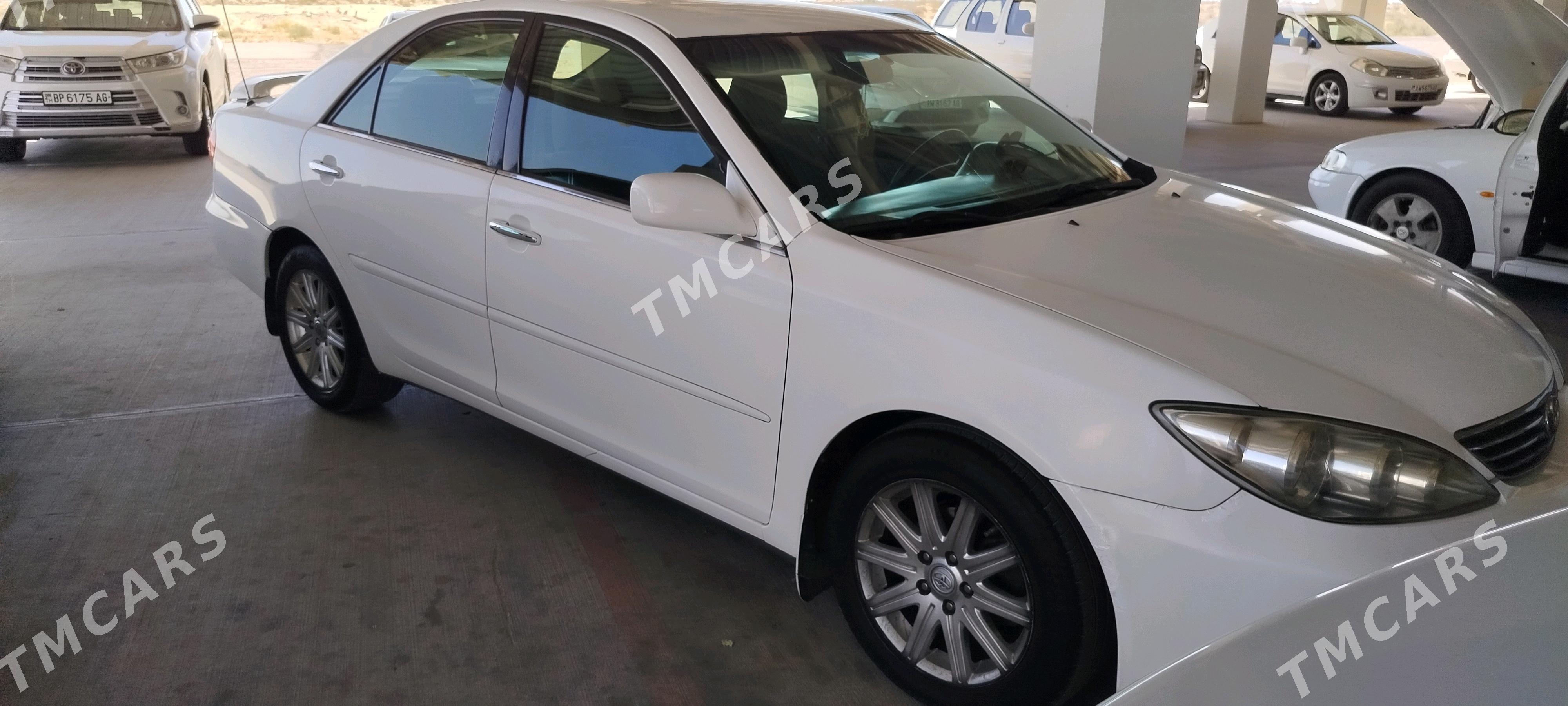 Toyota Camry 2005 - 145 000 TMT - Ak bugdaý etraby - img 3