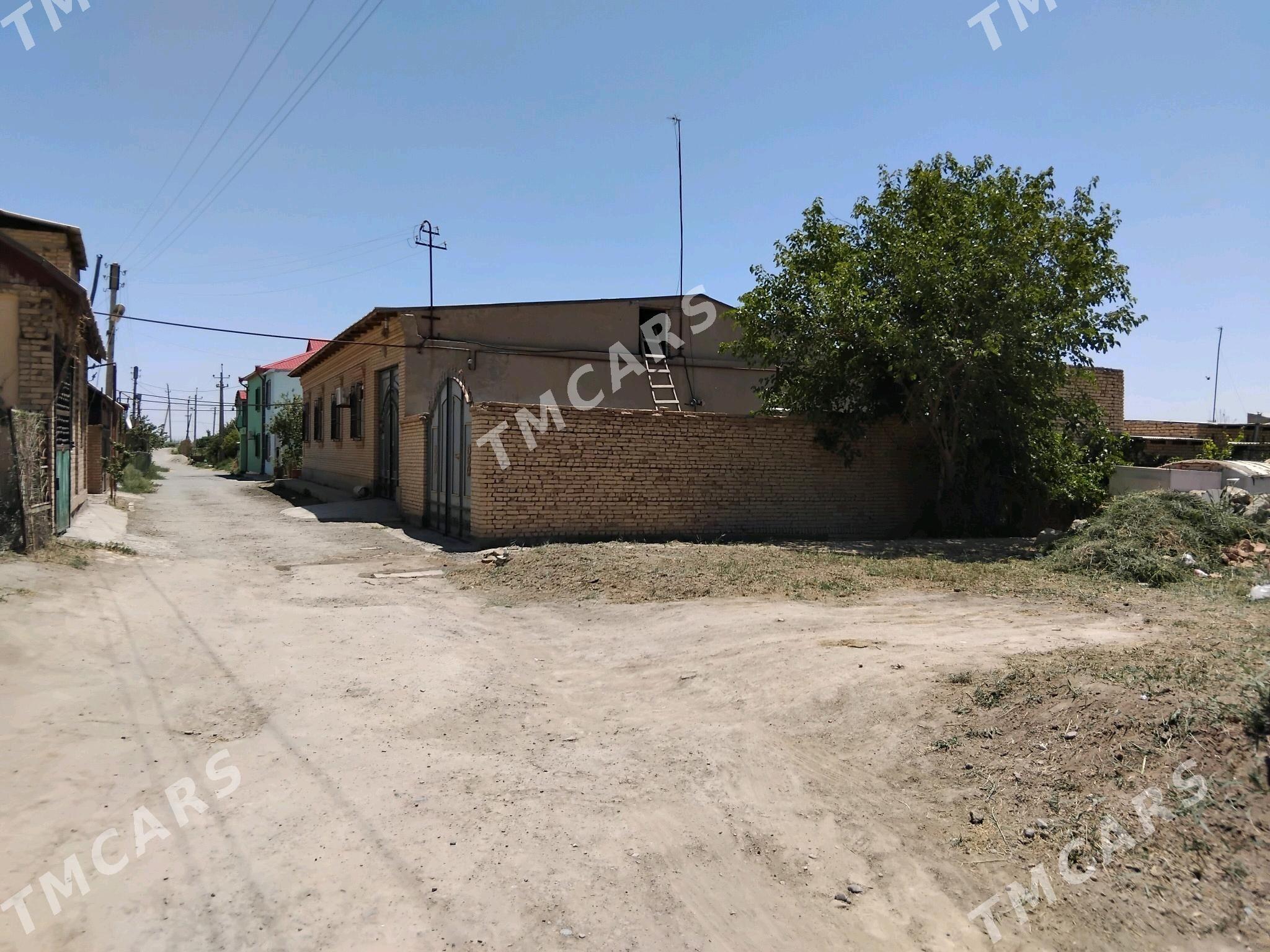 Дача 4 сотка - Türkmenabat - img 4
