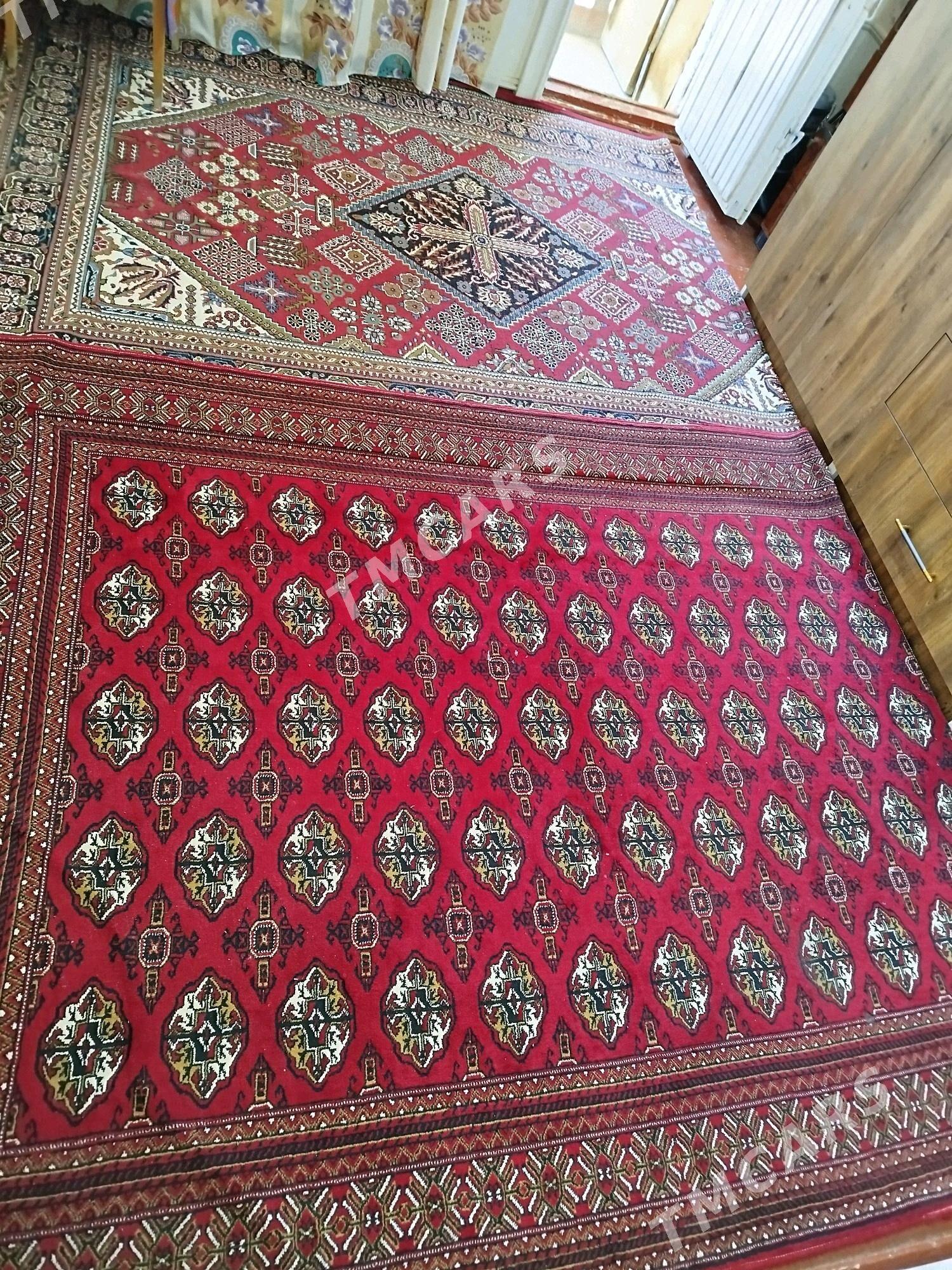 Haly - Daşoguz - img 2