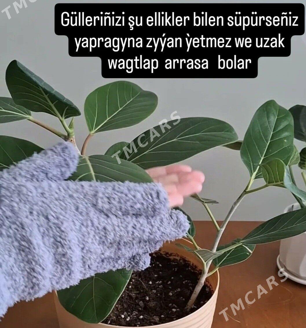 gul otag gulleri - Мир 2 - img 2