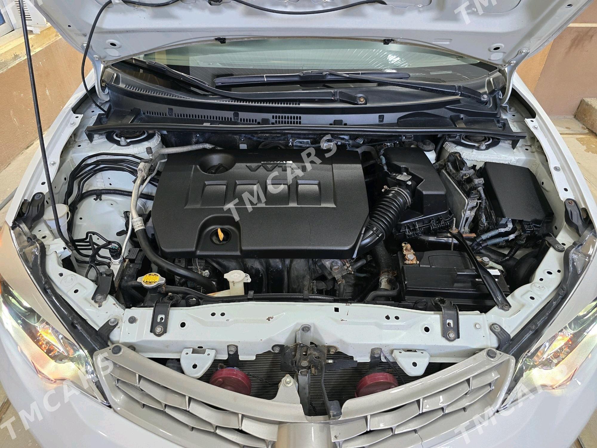 Toyota Corolla 2016 - 239 000 TMT - Чоганлы - img 5
