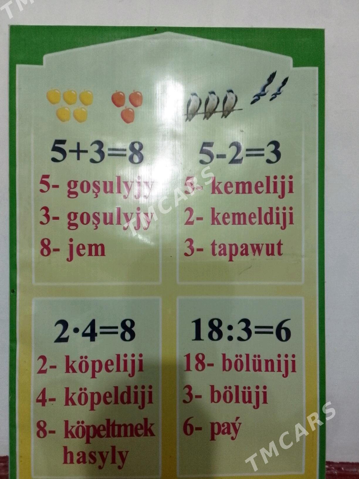 okuw gorkezme esbaplary - Mary - img 6