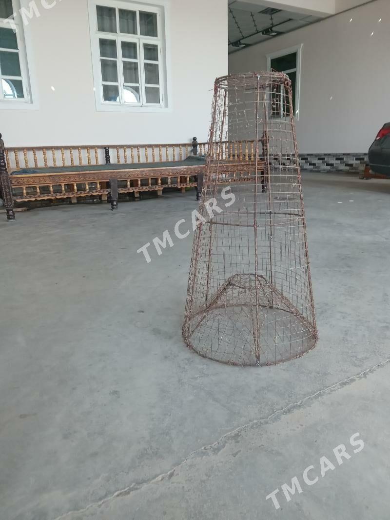 morduşka - Çärjew - img 2