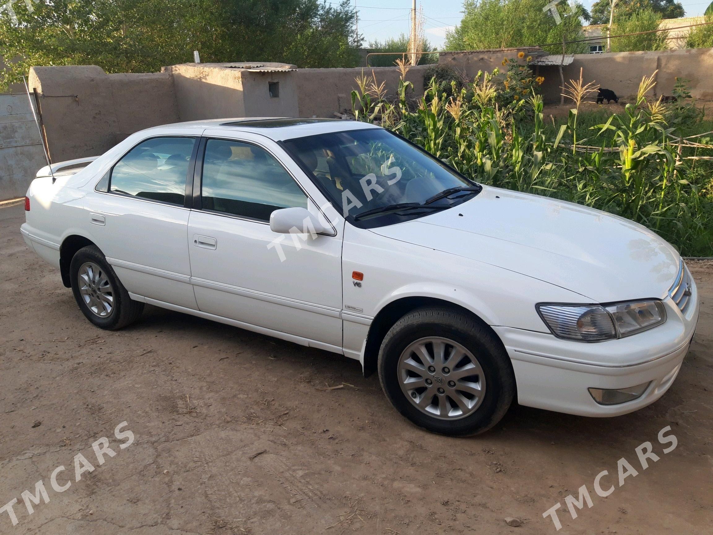 Toyota Camry 2000 - 130 000 TMT - Akdepe - img 3