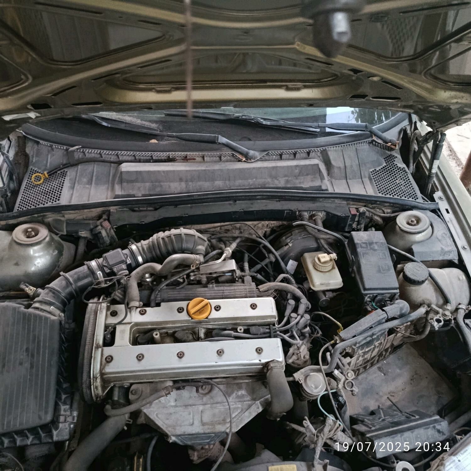 Opel Vectra 1998 - 40 000 TMT - Кёнеургенч - img 3