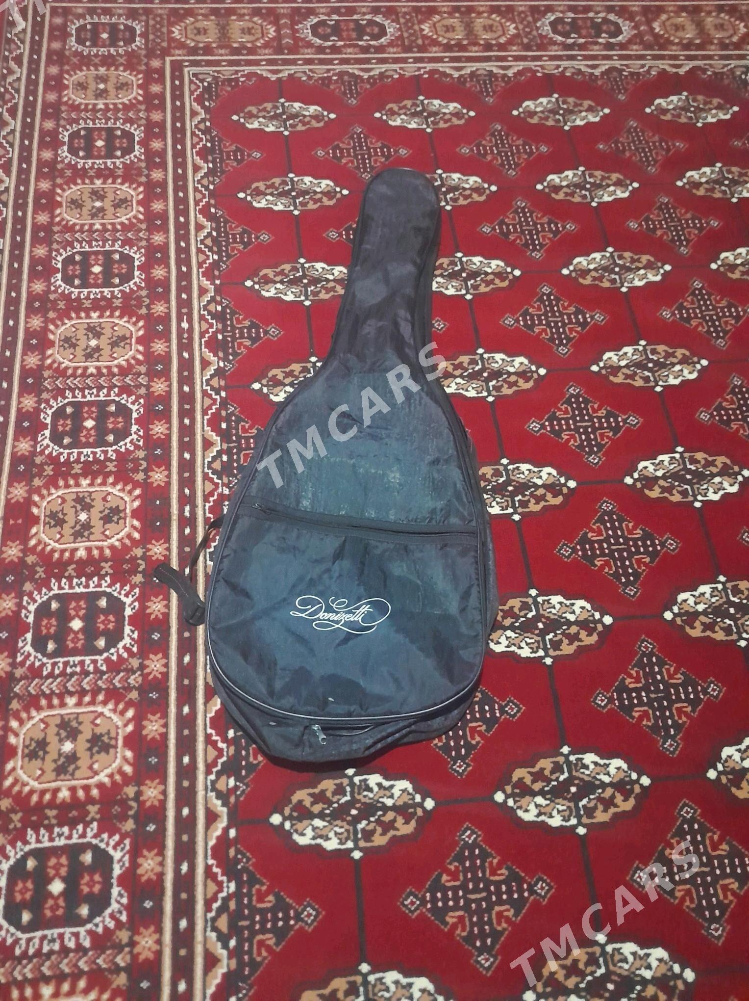 Gitara - Sakarçäge - img 3