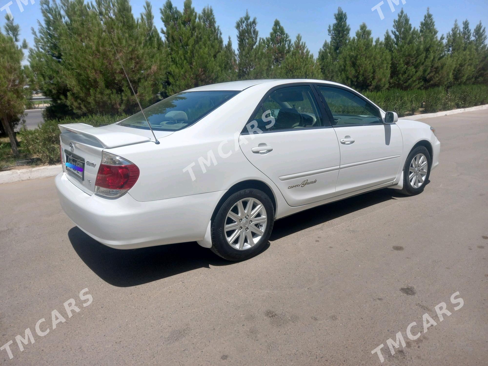Toyota Camry 2003 - 156 000 TMT - Sakarçäge - img 5