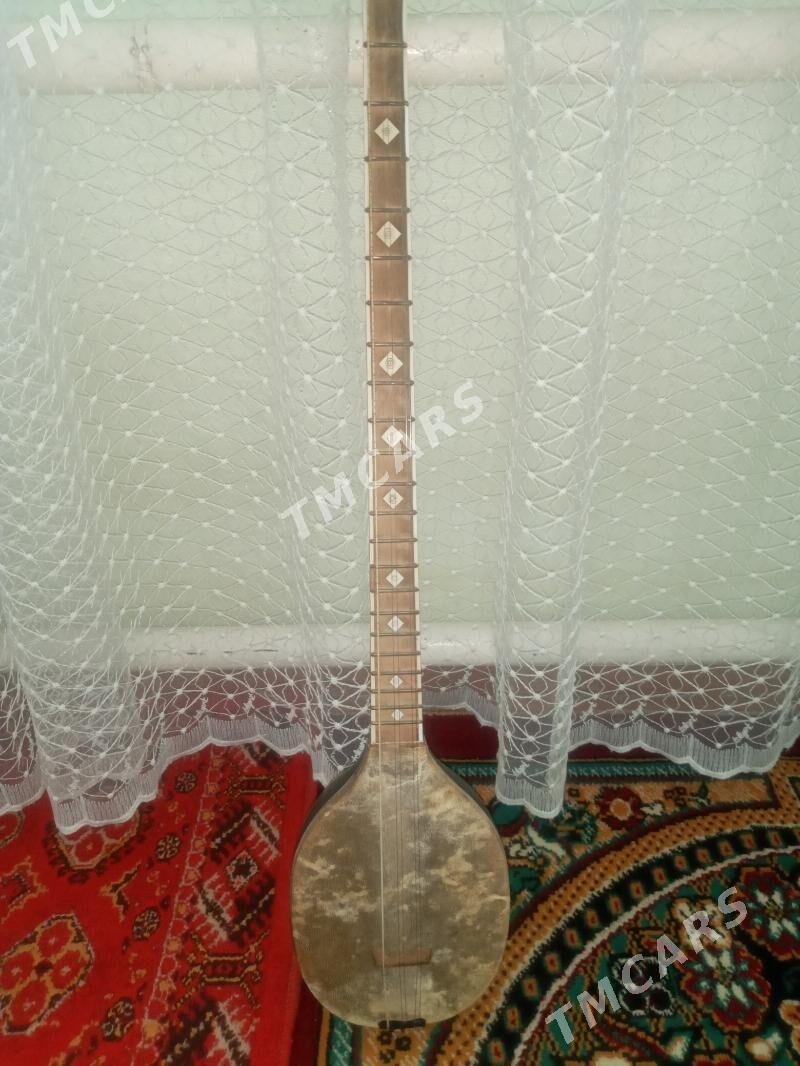 Plektra dutar - Baýramaly - img 3