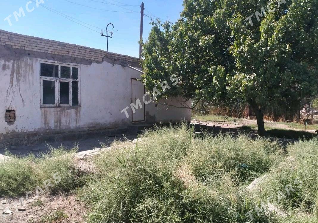 Turkmenabat satılık daça - Türkmenabat - img 2