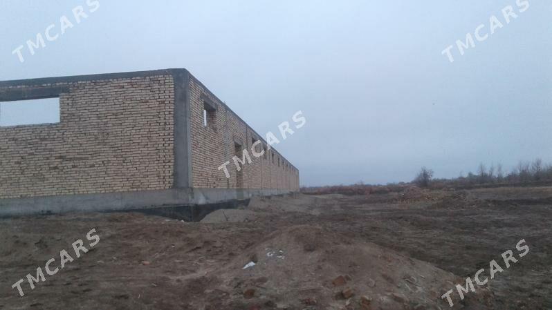 Maldarçylyk ferma - Daşoguz - img 2