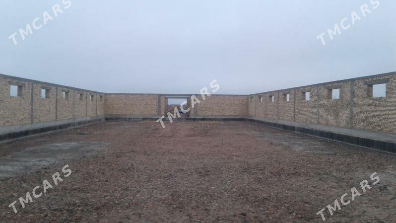 Maldarçylyk ferma - Daşoguz - img 4
